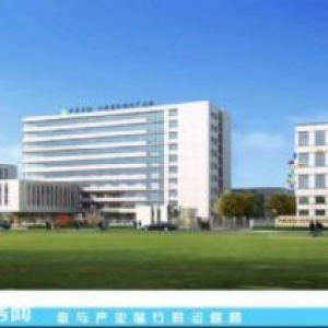 南通市如皋市高速口旁高標(biāo)準(zhǔn)園區(qū)，園中園。稀缺單層廠房僅剩四套