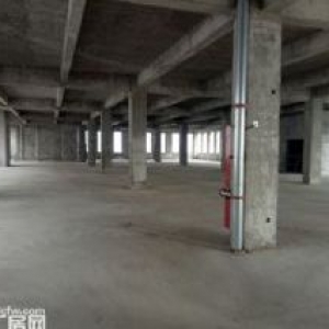南通經(jīng)開區(qū)新建三層獨棟廠房出售  5